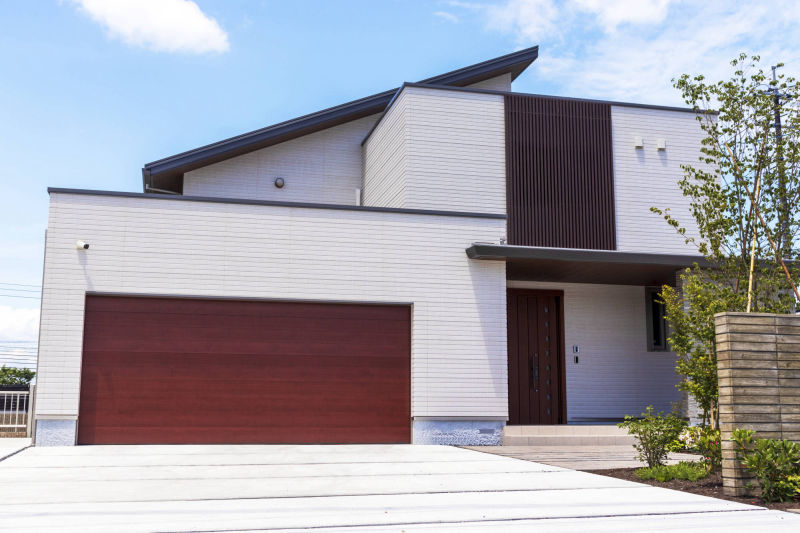 air-plants Renovation